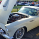Beautiful Thunderbird
